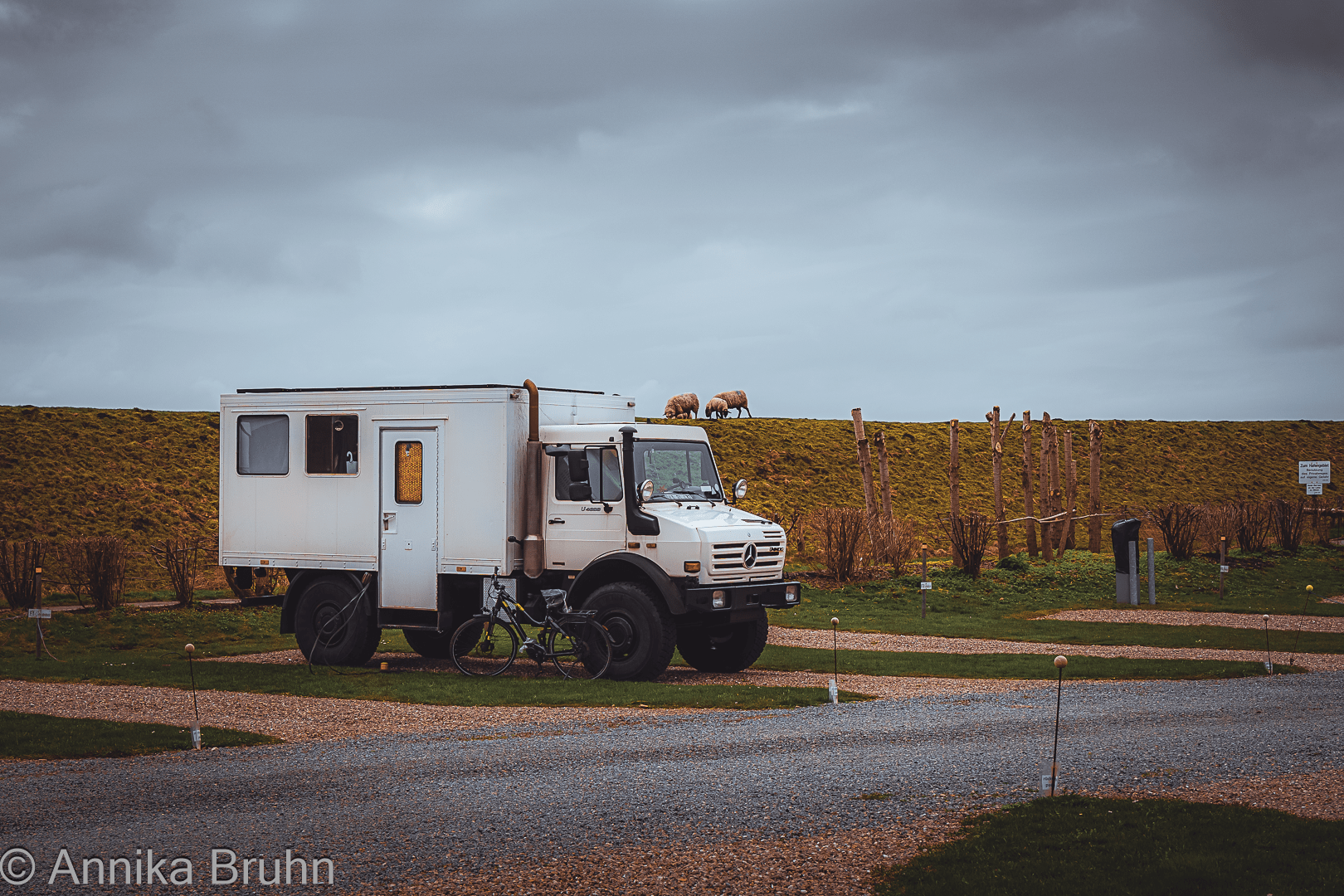 Stellplatz am Deich in Friedrichstadt!